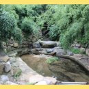 더옐로우펜션 이미지