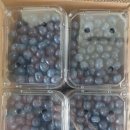 김봉태농장 이미지