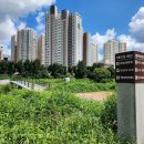 비산대교 앞 이미지