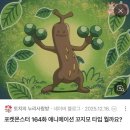 띠앗머리 - 포항시 북구 | 26.05.25 - 05.31 : 시작은 평화로웠으나 끝은.