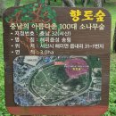 2025년 서해안투어(홍성/태안/서산/당진)&amp;경기도파주감악산 산행 여름이야기!! 이미지