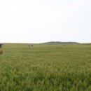 학원농장민박 이미지