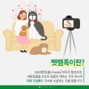 애완동물가족
