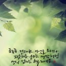 매자리길 이미지