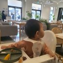 탑스텐동강리조트