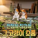 물멍 | 전참시 최강희 어항 고양이피규어 물멍소품 후기