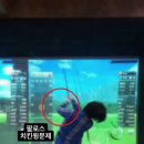 SJ브라보