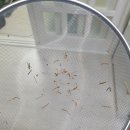 옹기 한약국 이미지