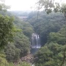 천제연폭포 이미지