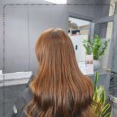 헤어장 이미지