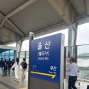 한수원 서포터즈 2기 ‘이랑’ 원자력 발전소, 한수원 본부 견학 후기