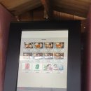 대가 유도관 이미지