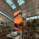 국제클라이밍장 | 크리스마스 오키나와 4박 5일 여행