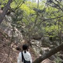 제2코스 | [서울 노원구] 수락산 제4등산로 등산코스 후기｜초보자도 가능한 서울 등산 명소!