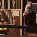 챔프이야기 이미지