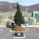 애그리팜 이미지