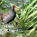 순광농장 이미지