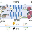 주식회사 비엠 - 안산시 단원구 | 주식회사 비엠