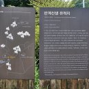이사검 선생 묘 | 부안 우동리의 반계 유형원유적지, 선계폭포, 굴바위 답사기