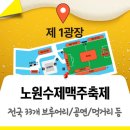 원주스타세븐공인중개사사무소 | 노원수제맥주축제 &#39;공연 타임테이블&#39;