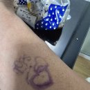 무역전시관입구(택시승강장) | 나도 도전 세부한달살기 중 가볼만한곳 ; 셔틀버스타고 탑스힐 전망대가기