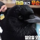 김미순농장 이미지