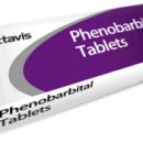 강남동물메디컬센터 이미지