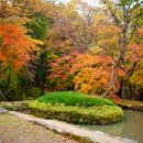 순천-46호 Daum카페