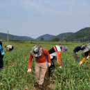 우보면 행정복지센터 이미지