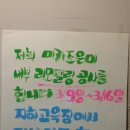 카페마카조은 이미지