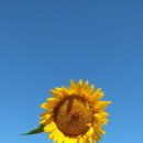 관악산현대홈타운 이미지