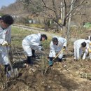 이중호농장 이미지