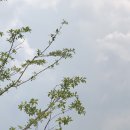 7월 주간 일기 1