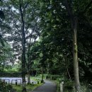 자연보호 | 캐녹 Mill Green 자연보호구역 산책 후기