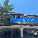 청수면옥 | [청수면옥] 상주터미널 인근 석쇠불고기가 맛있는 시원한 물냉면/칼국수 로컬 맛집 직접 다녀온 후기 !