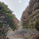 😛23/11/17일(금) CAU73 삼금회 11월 모임 "천안 독립 기념관과 아우네장터" 이미지