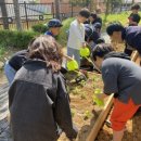 횡성초등학교 이미지