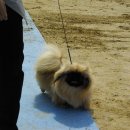 이천공설운동장 이미지