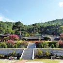 벽송