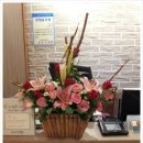 장성일식 이미지