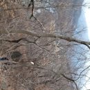 함양미장원 이미지