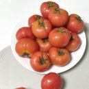 맛찬 | 맛찬농장 찰토마토 산지직송 완숙토마토 추천 강아지 토마토 급여