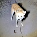 코앤덕농장 이미지