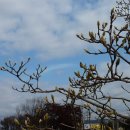 만송1통 이미지