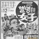 미쓰촌닭 티스토리