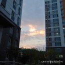 북면농협한전지소 네이버블로그