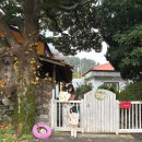 큰돌민박 | ♥제주도 독채숙소추천♥ 애월숙소,바베큐,불멍 아이와 함께 한 여행 -밖거리 민박