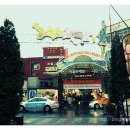 [문화여행] 제주 나 혼자 간다 이미지