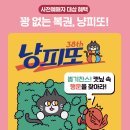 카페 바이 캣 | 🐱 2026년 6월 12일~14일 궁디팡팡 캣페스타 서울 aT센터 총정리 — 6월·12월 집사들의 성지 궁팡!