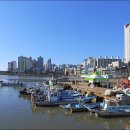 제10회 월곶포구축제 현장에서 만난 풍경들입니다 이미지